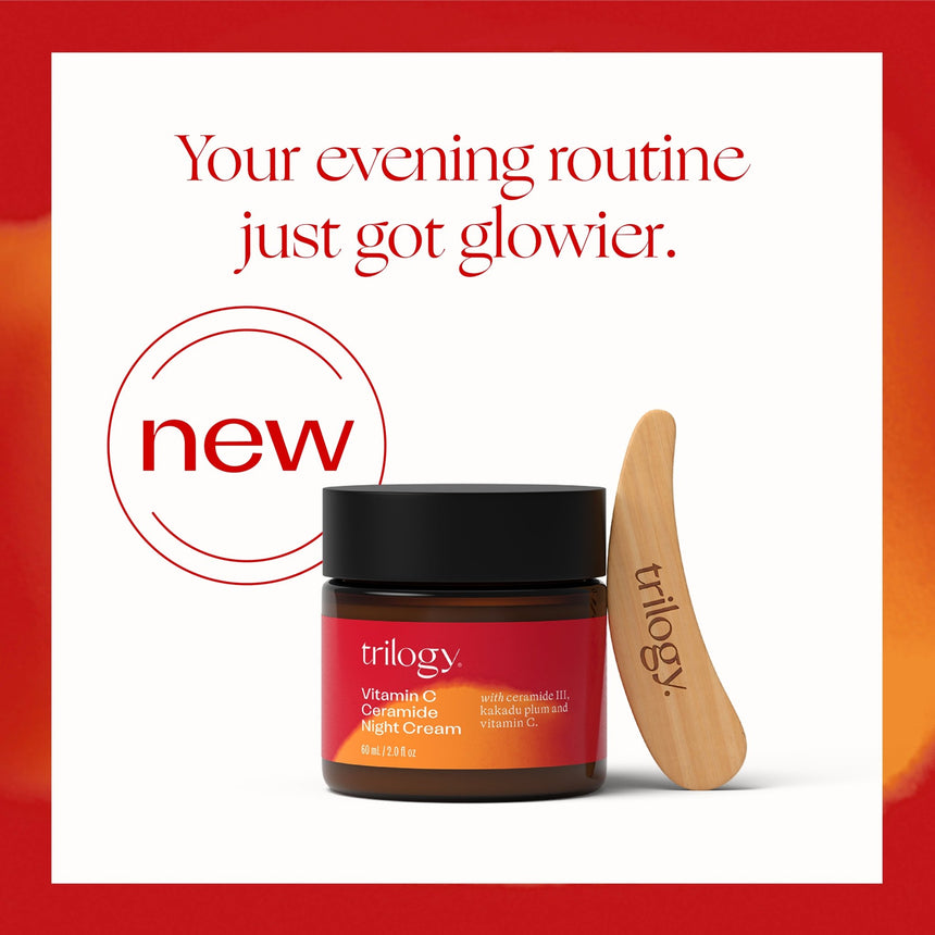 Vitamin C Ceramide Night Cream - mypure.co.uk