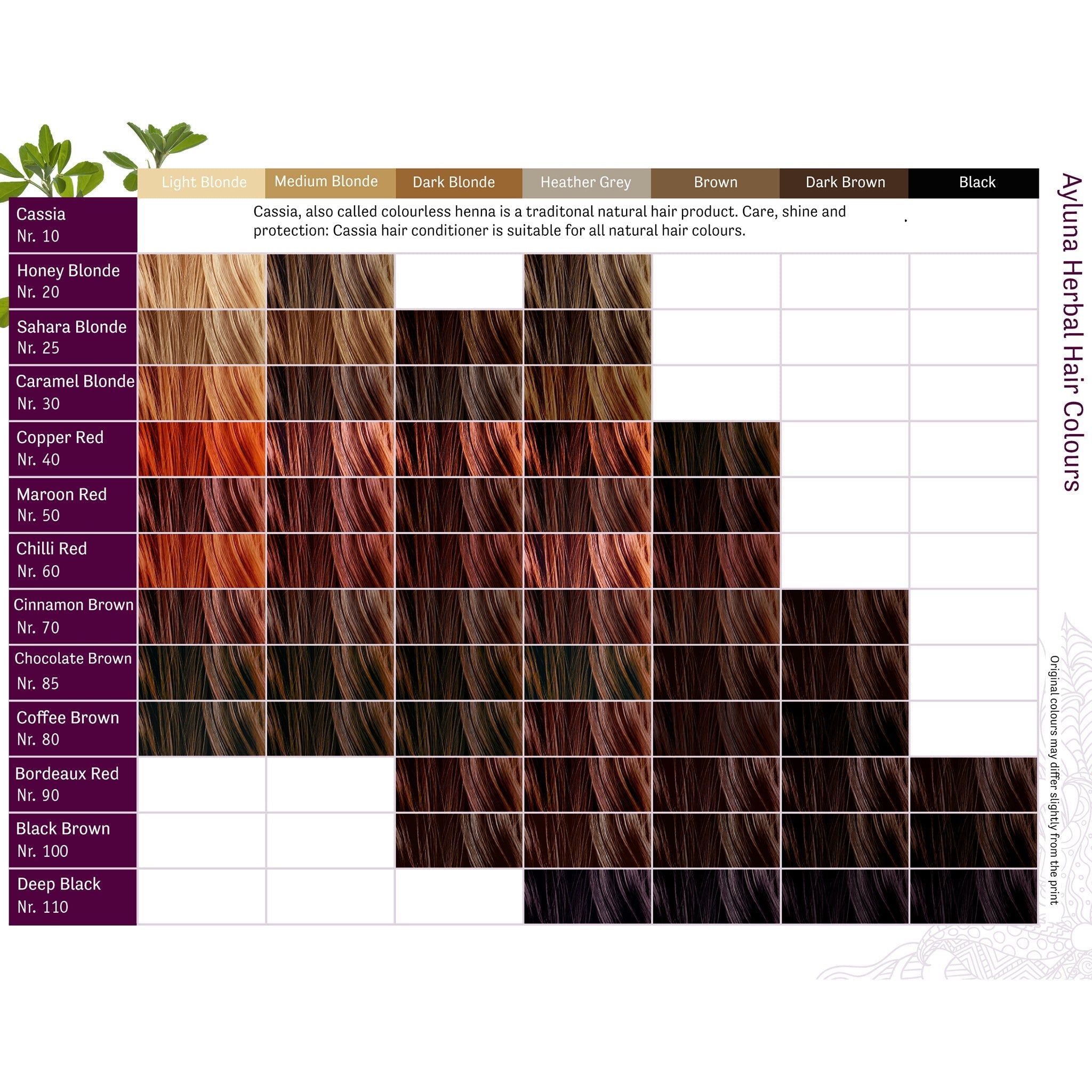 Plant-based Hair Dye - Chocolate Brown - mypure.co.uk