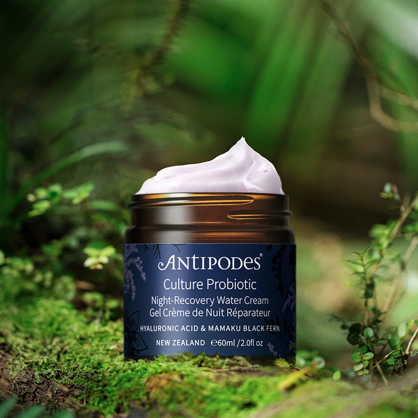 Culture Probiotic Night Recovery Water Cream