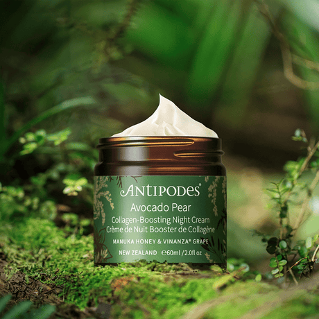 Avocado Pear Collagen - Boosting Night Cream - mypure.co.uk