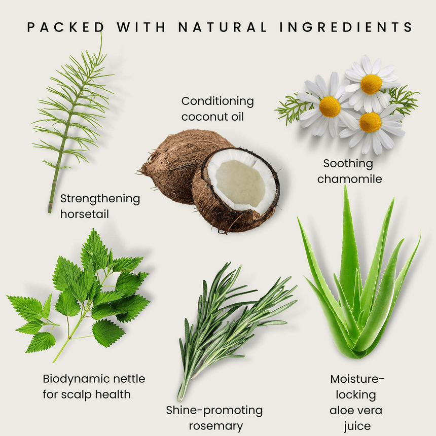 Prebiotic Gentle Herb Shampoo - mypure.co.uk