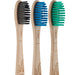 Beechwood Toothbrush - mypure.co.uk