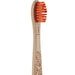 Beechwood Toothbrush Kids Bristles - mypure.co.uk