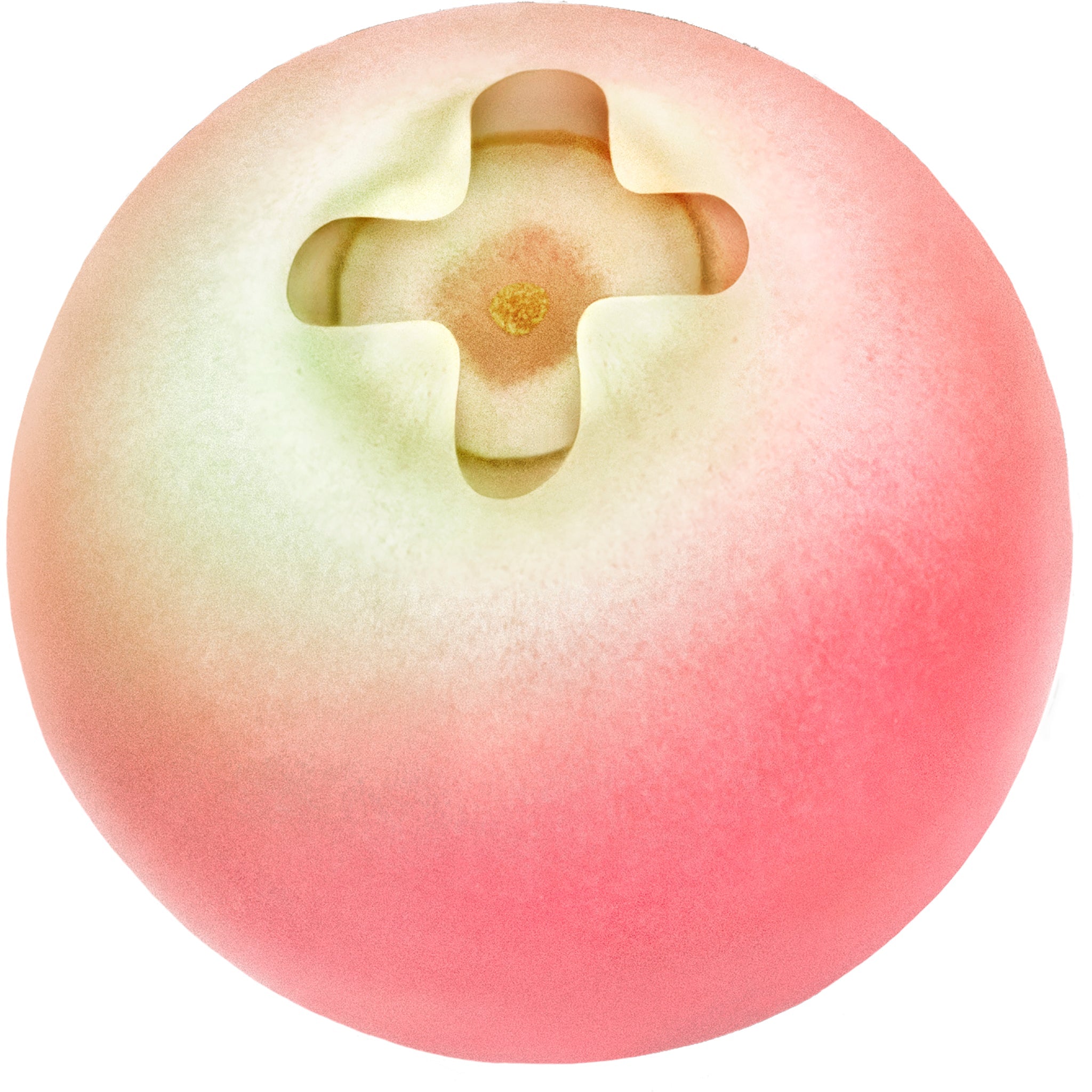 DERMA+ | Calming Moisture Cream with Lingonberry