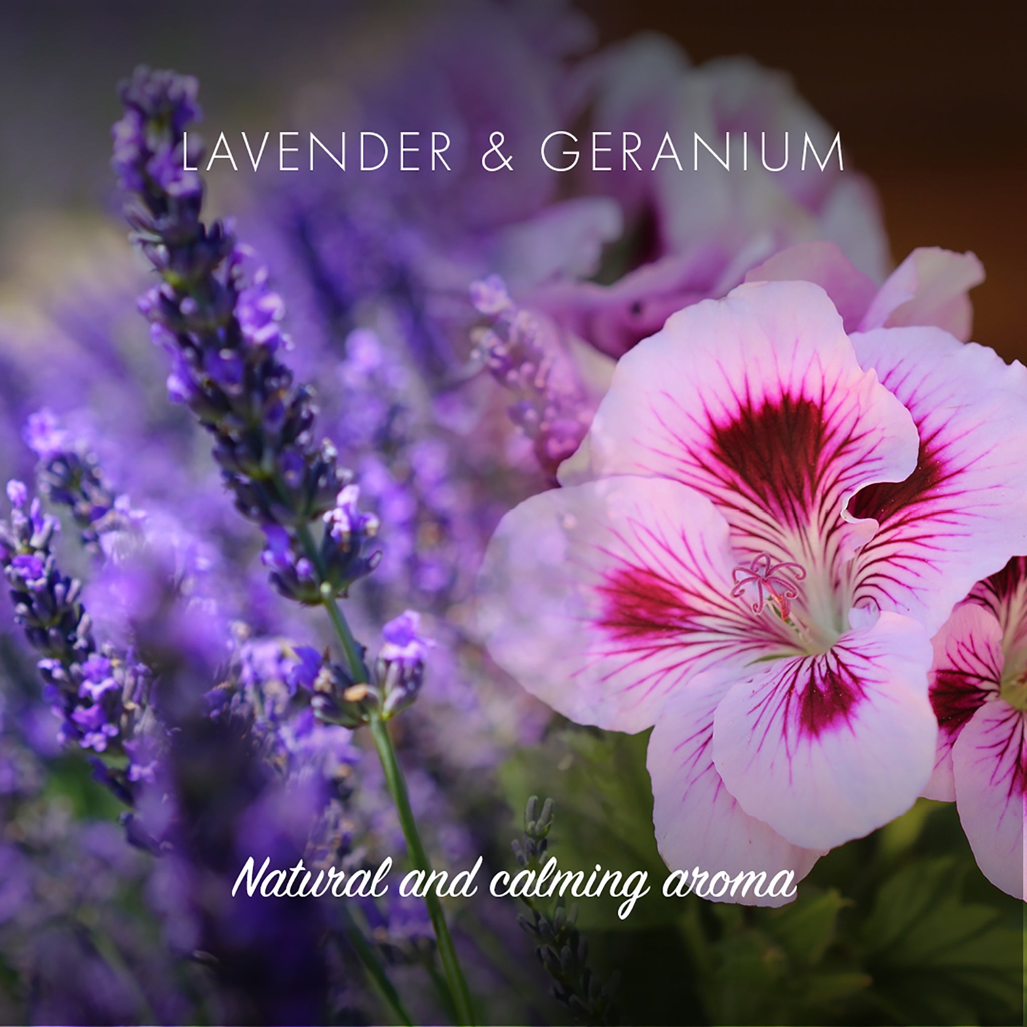 Healthy Shine Conditioner Bar - Lavender & Geranium - mypure.co.uk