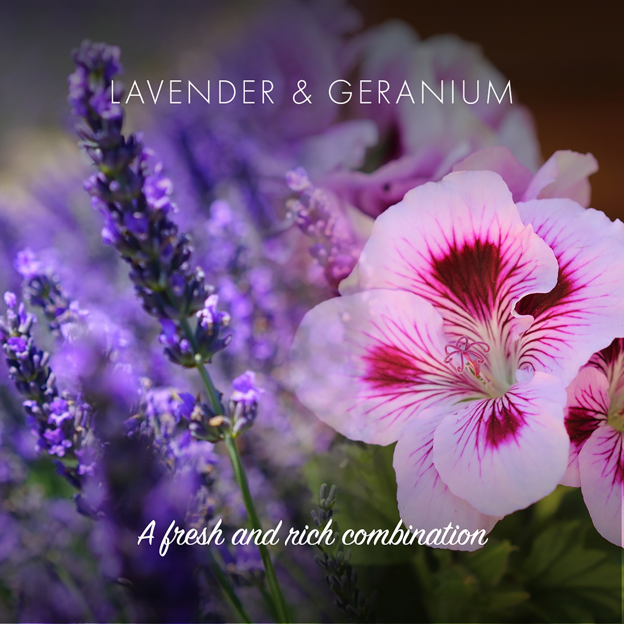 Healthy Shine Shampoo Bar - Lavender & Geranium - mypure.co.uk