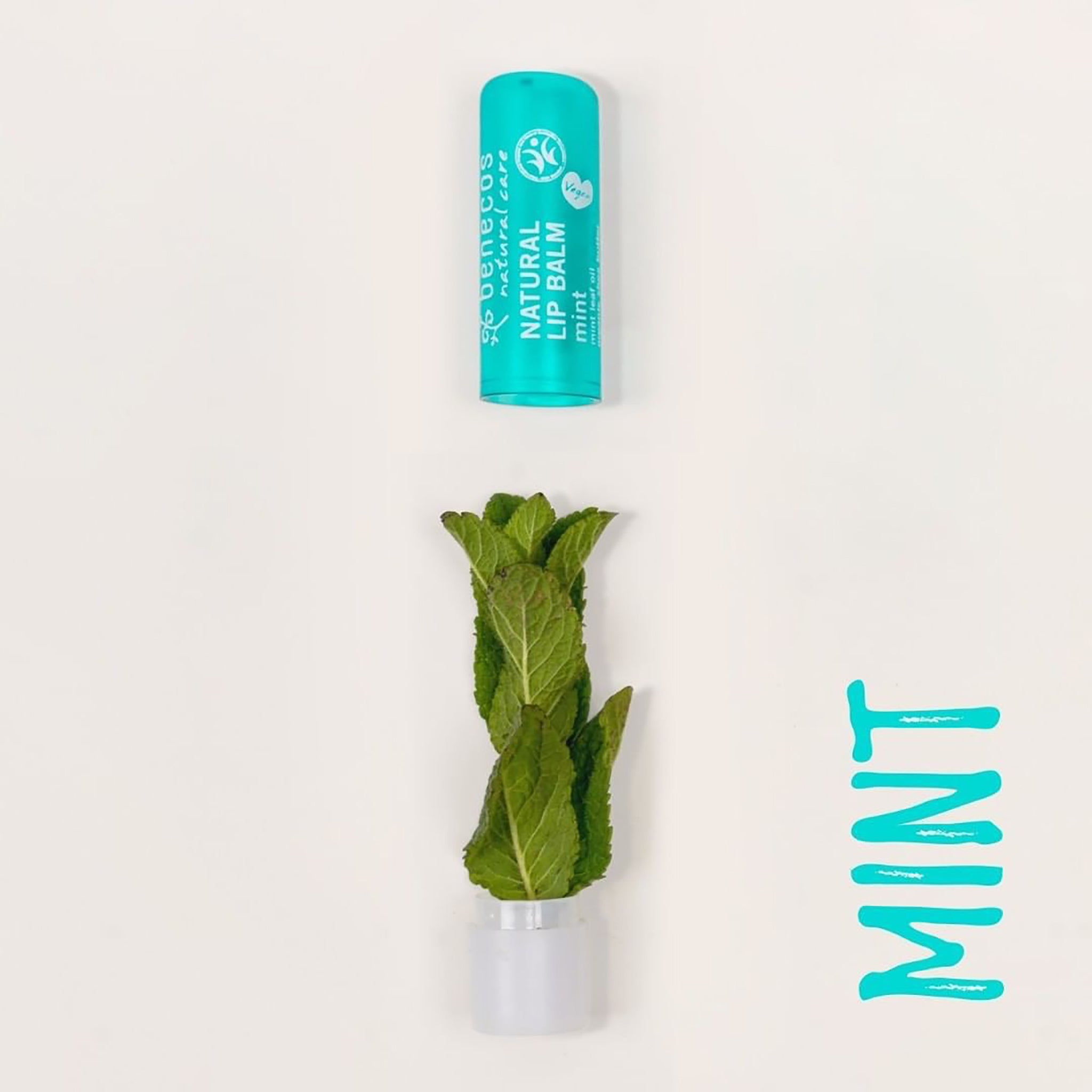 Natural Lip Balm - Mint - mypure.co.uk