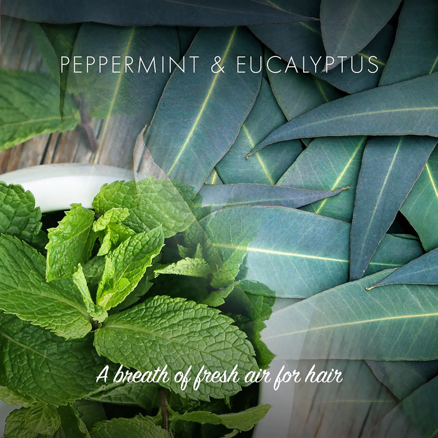 NEW Conditioner Bar - Peppermint & Eucalyptus - mypure.co.uk