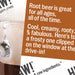 Root Beer Lip Balm - mypure.co.uk